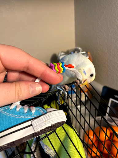 Pet Supply Store «Pet Supermarket, Inc.», reviews and photos, 598 N McCarran Blvd, Sparks, NV 89431, USA