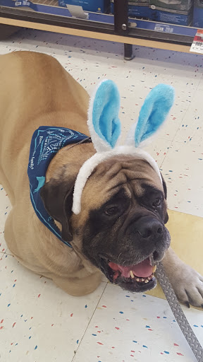 Pet Supply Store «Pet Supplies Plus», reviews and photos, 30450 Lakeshore Blvd, Willowick, OH 44095, USA