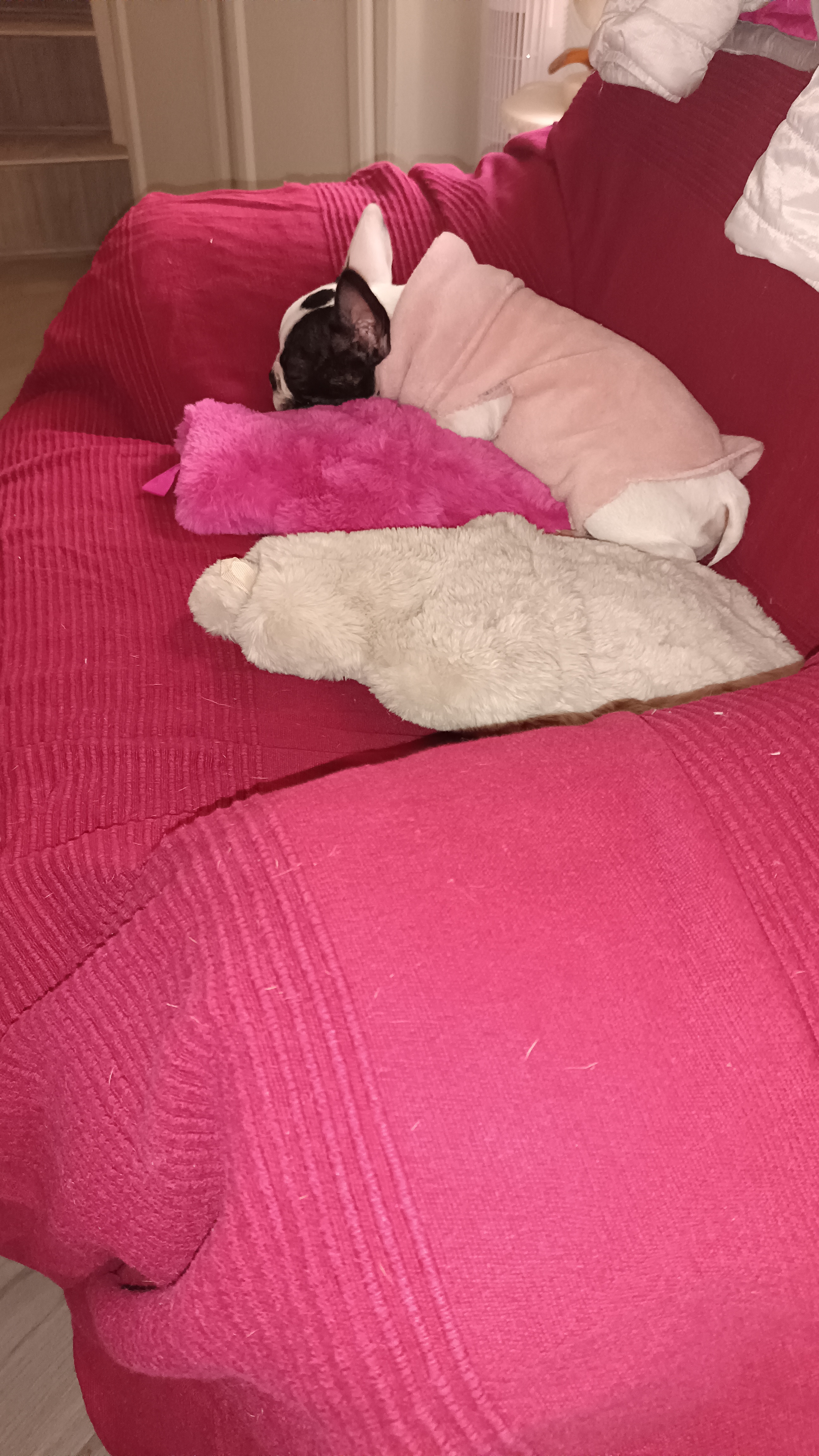 Photo n° 2 de l'avis de Sylvie.o fait le 06/12/2023 à 22:27