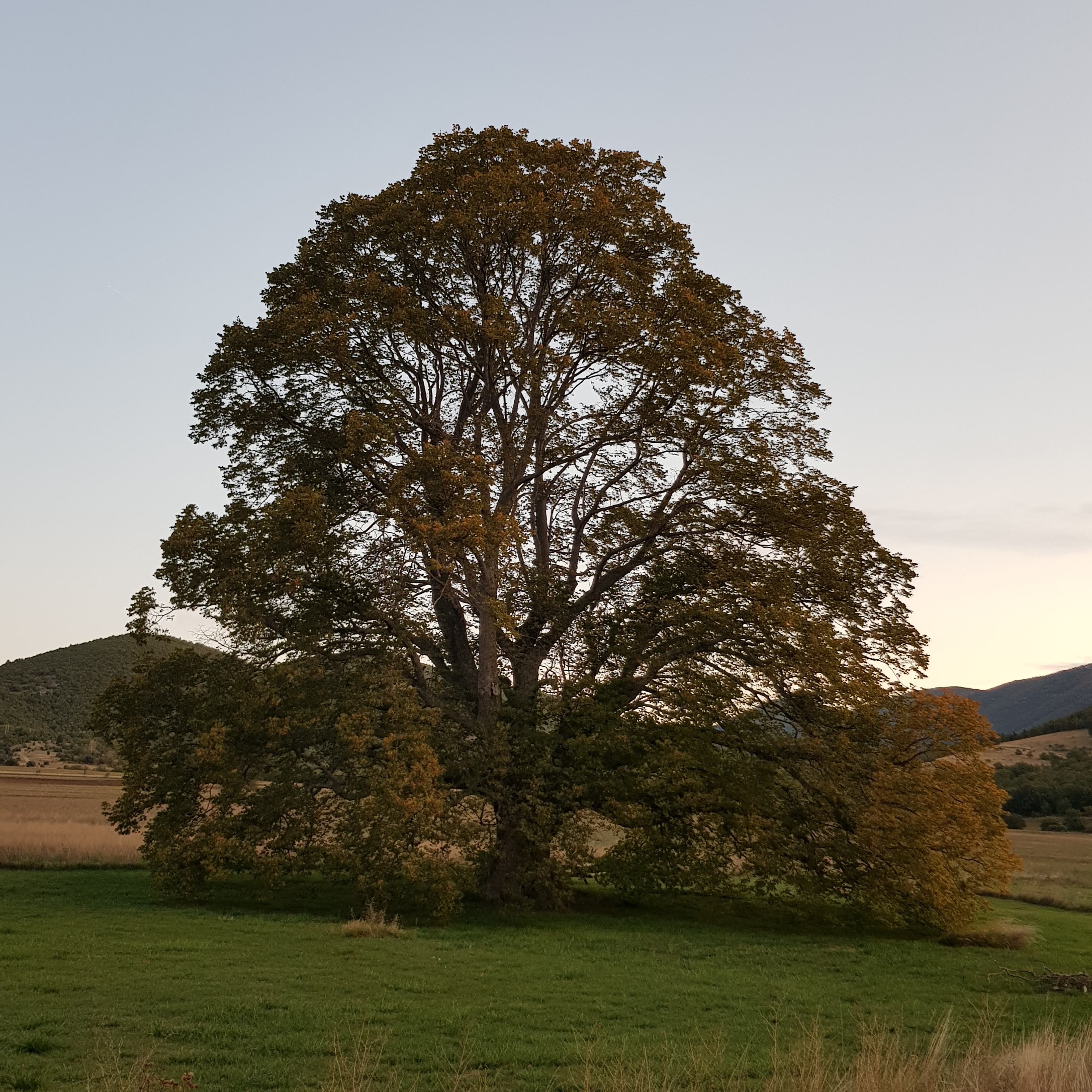 Photo n° 3 de l'avis de Anne.a fait le 17/10/2019 à 14:20
