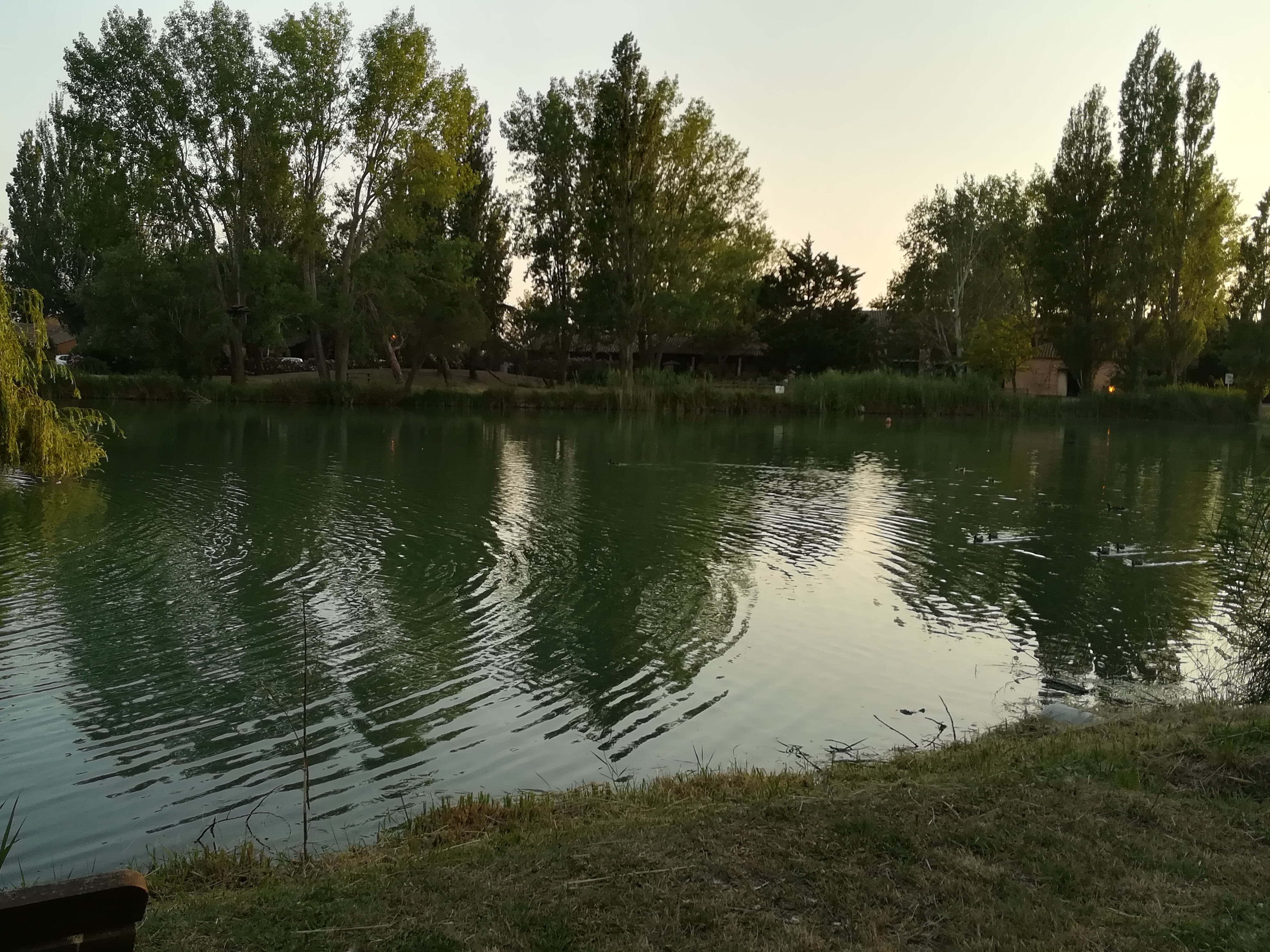 Photo n° 3 de l'avis de annemarie.g fait le 30/06/2019 à 18:17