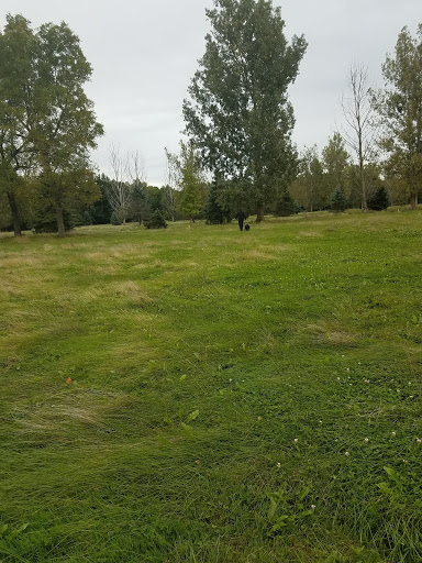 Golf Club «Oak Run Golf Club», reviews and photos, 4185 Lake Ave, Lockport, NY 14094, USA