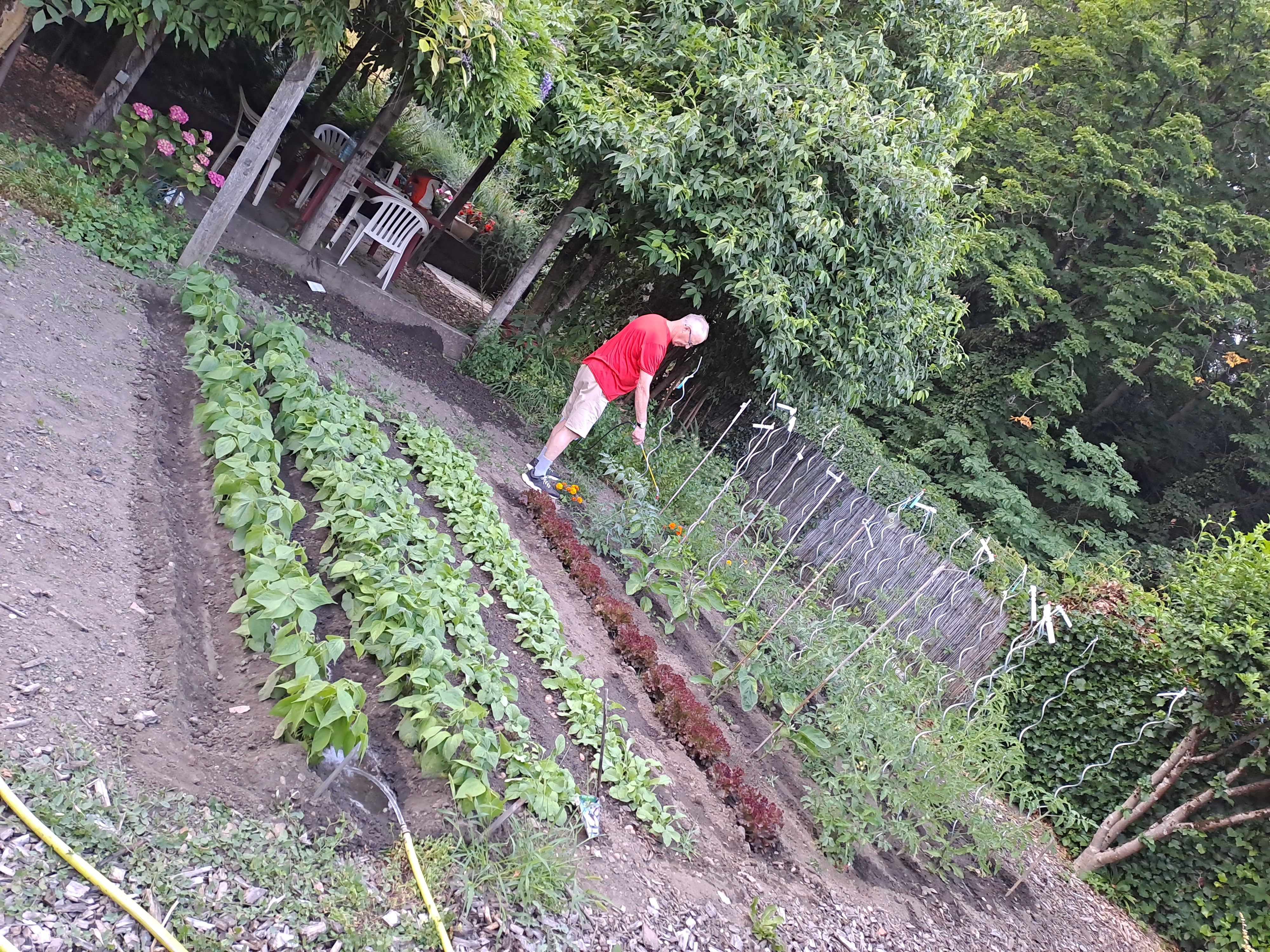 Photo n° 6 de l'avis de Sonia.A fait le 19/06/2023 à 19:21