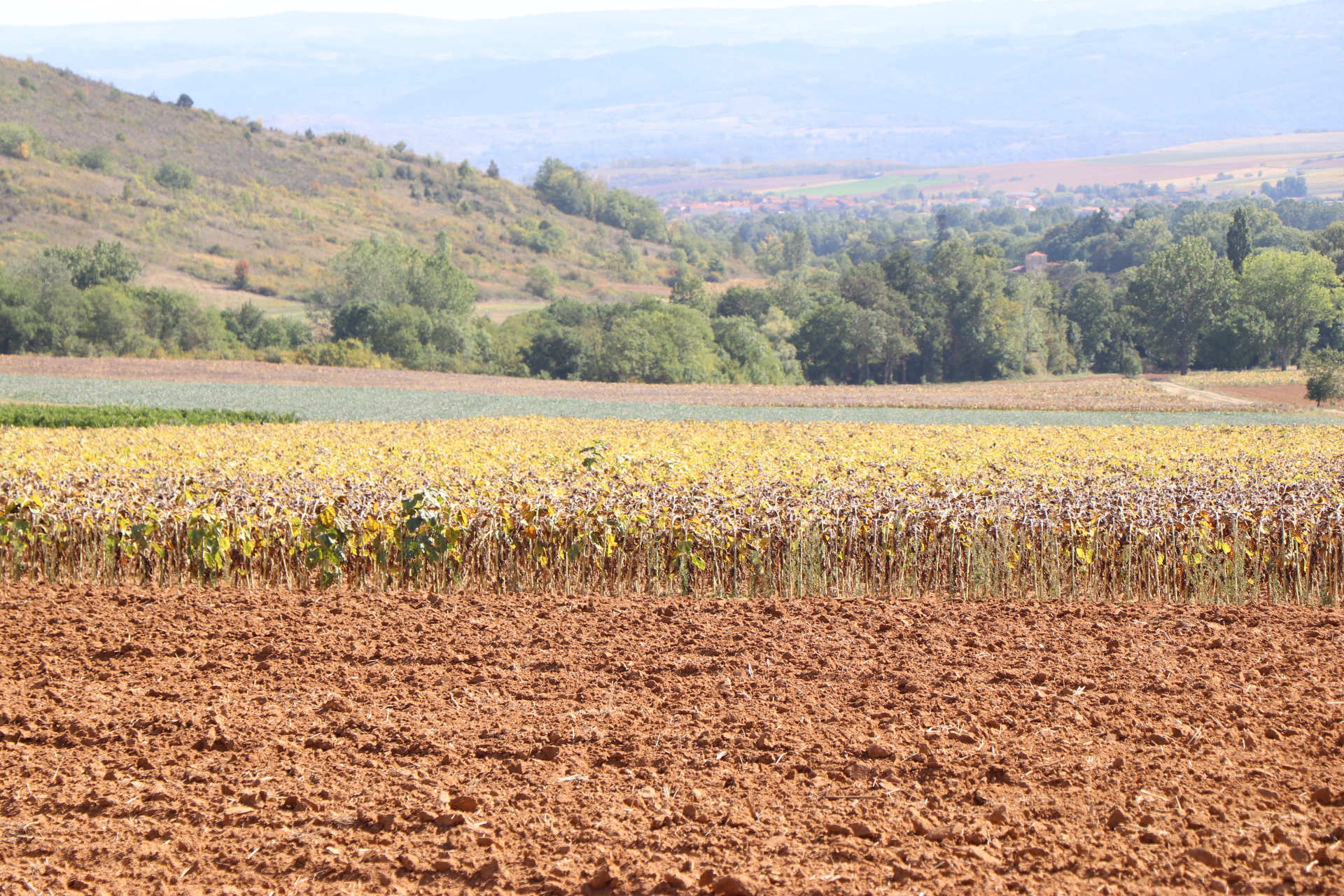 Photo n° 2 de l'avis de m.. fait le 18/09/2019 à 13:54