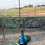 Photo n°5 de l'avis de Massimiliano.t fait le 05/04/2024 à 06:32 sur le  Agriturismo Scalelle à Otranto