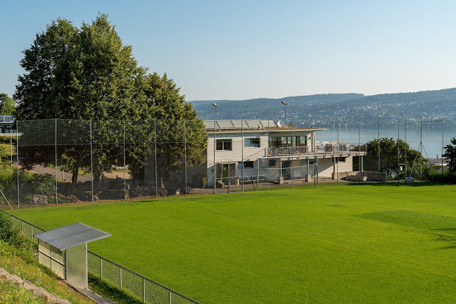 Sportplatz Cholenmoos - Sportstätte