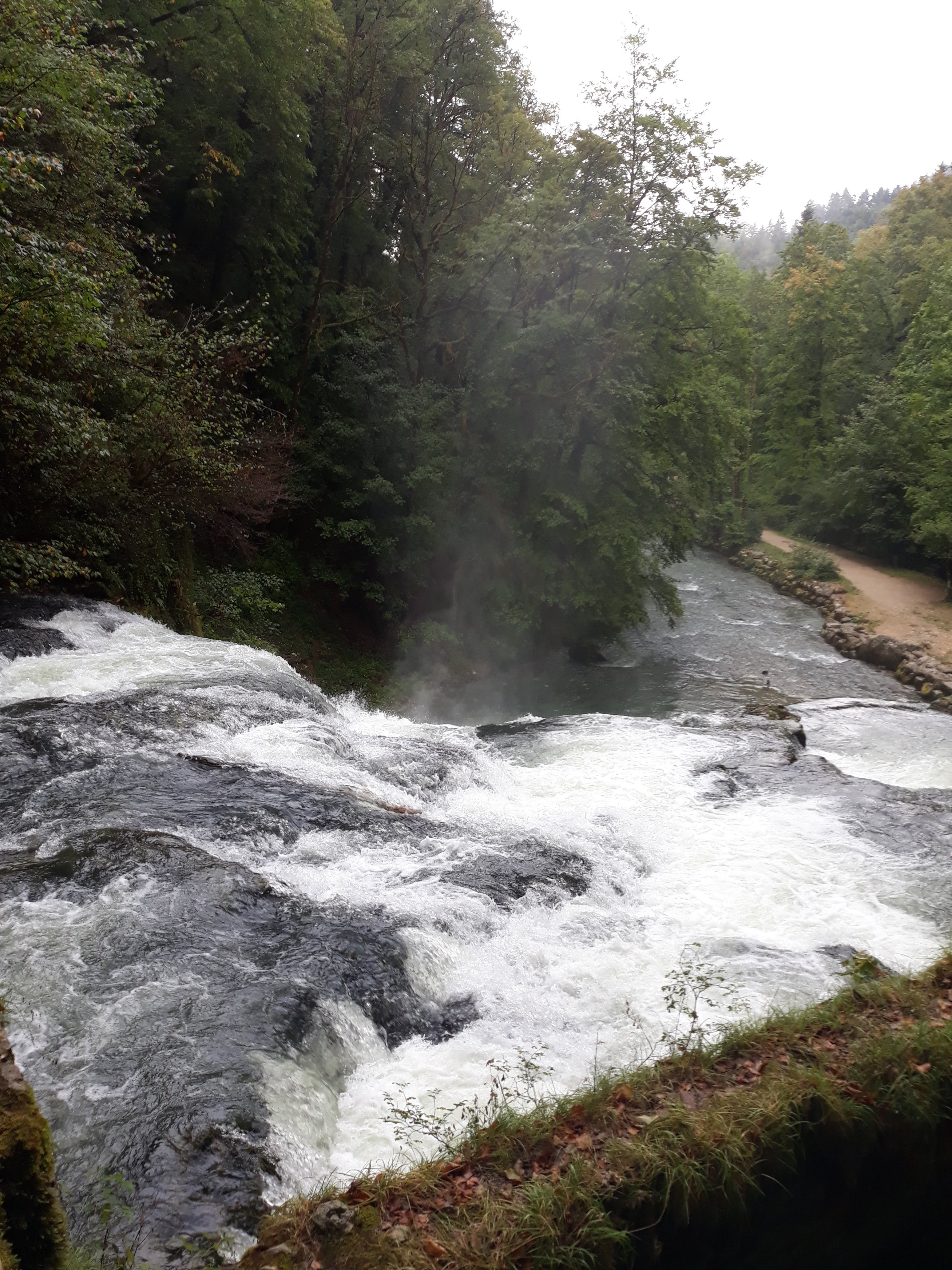 Photo n° 11 de l'avis de leonat.5 fait le 15/08/2018 à 11:34