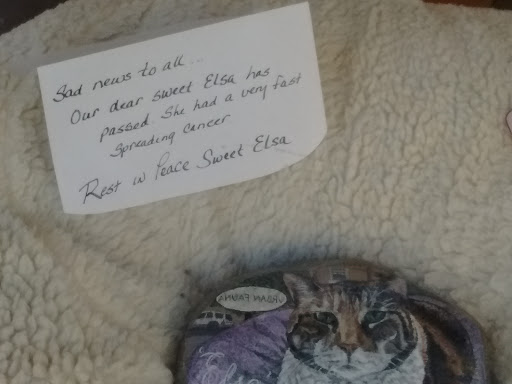 Dog Day Care Center «Urban Fauna», reviews and photos, 939 SW 10th Ave, Portland, OR 97205, USA