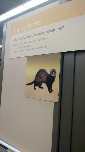 Pet Supply Store «Petco Animal Supplies», reviews and photos, 317 E Trenton Rd, Edinburg, TX 78539, USA