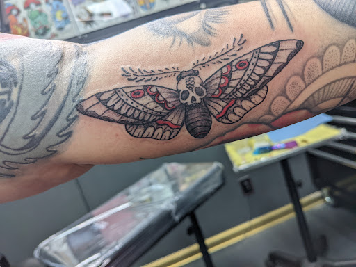 Explore australia tattoo ideas, creative tattoo ideas in Tallahassee, available at Carbon Ink Tattoo