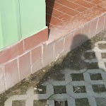 Photo n°7 de l'avis de silvio.l fait le 01/08/2019 à 18:39 sur le  Club Hotel La Vela à Nago–Torbole