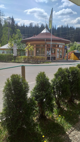 Opinii despre Centrul Național de Informare și Promovare Turistică Borsec în Borsec - Agenție de turism