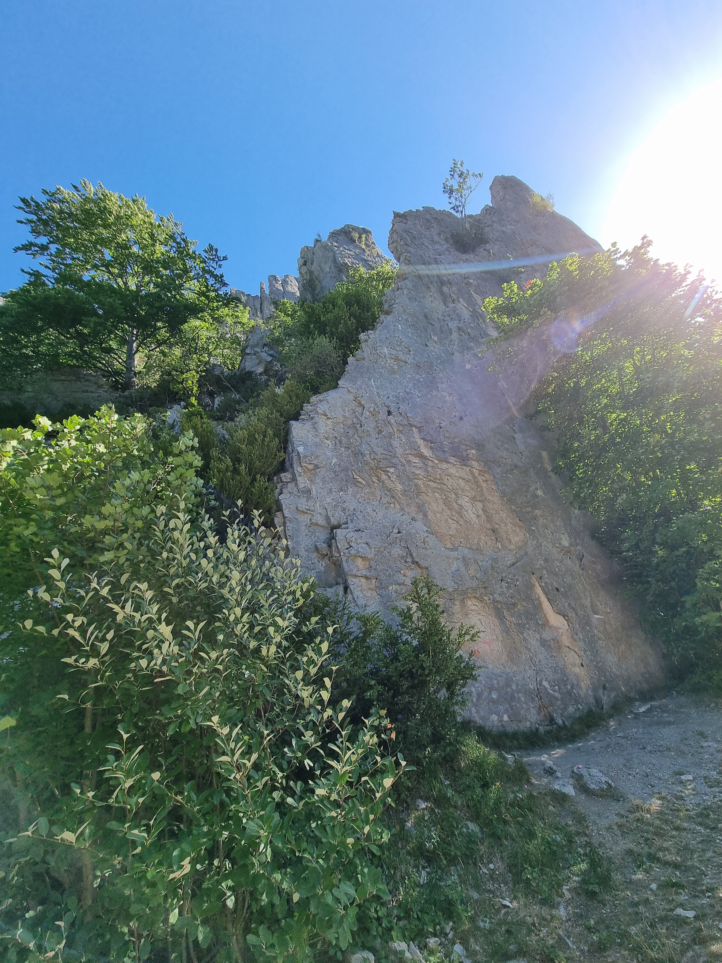 Photo n° 31 de l'avis de Viktória.i fait le 16/07/2022 à 13:58