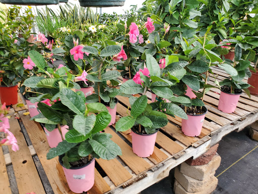 Garden Center «Beachside Gardens & Gifts», reviews and photos, 3725 US-12, Michigan City, IN 46360, USA