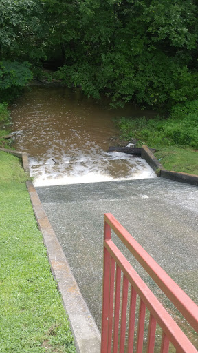 Park «Sherando Park Pool», reviews and photos, 150 Park Dr, Stephens City, VA 22655, USA