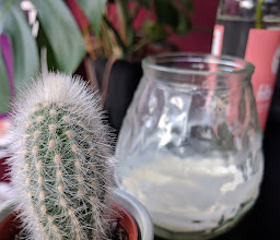 Zamazingo Pizzeria photo