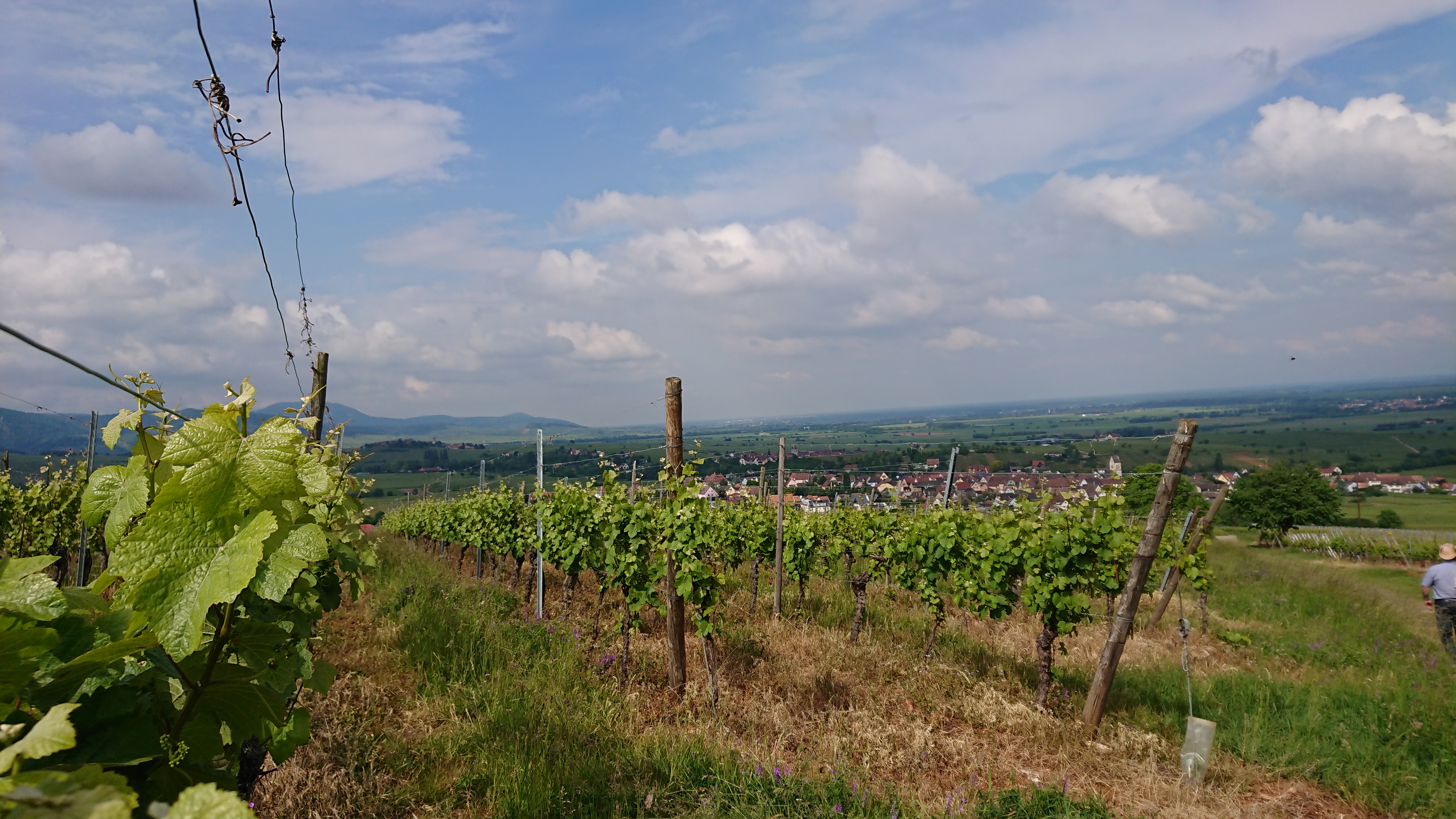 Photo n° 1 de l'avis de Guillaume.i fait le 20/05/2018 à 17:13