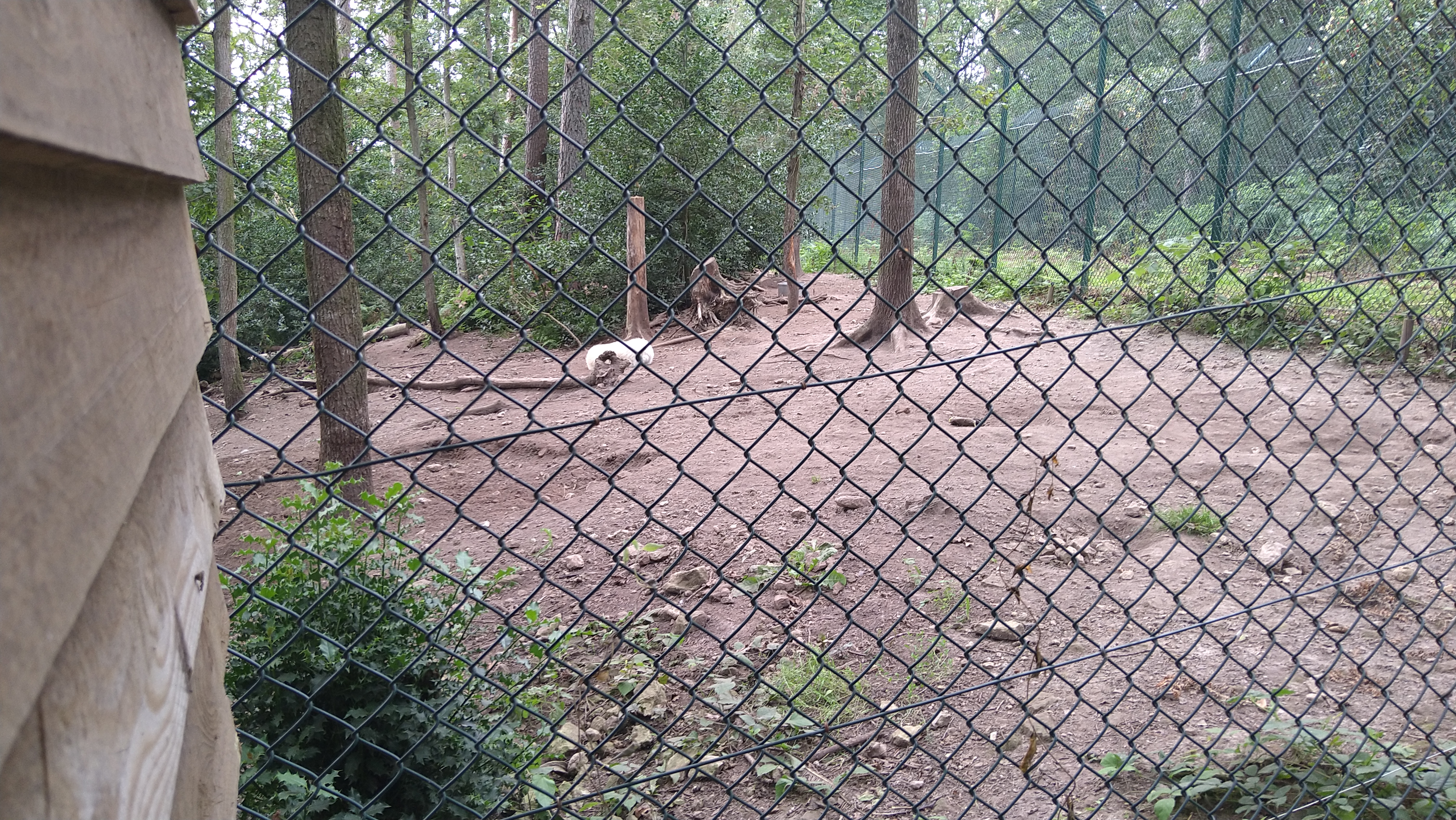 Photo n° 3 de l'avis de Marthijn.v fait le 27/08/2021 à 17:08