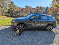 Geese Relief, LLC - Photo 3 - Car repair in , Stamford