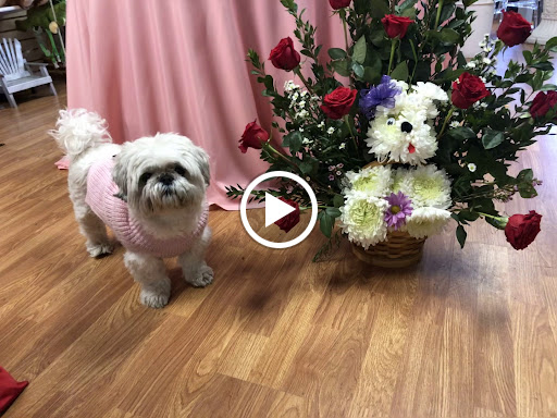 Florist «Bevess Floral», reviews and photos, 4221 Montgomery Dr, Santa Rosa, CA 95405, USA