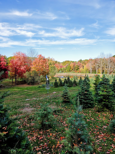 Outdoor Sports Store «Maple Hill Disc Golf», reviews and photos, 132 Marshall St, Leicester, MA 01524, USA