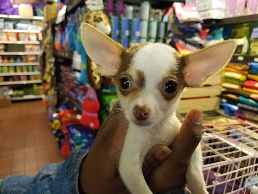 Pet Store «Pets Plus Inc», reviews and photos, 2610 Jefferson Davis Hwy, Stafford, VA 22554, USA