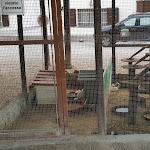 Photo n°7 de l'avis de Simone.r fait le 08/07/2018 à 22:33 sur le  Agriturismo Fattoria degli Animali La Collinara à Comacchio