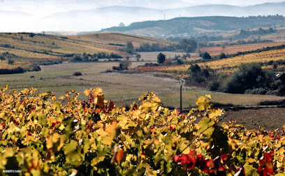 Vinos Valtuille S.L.