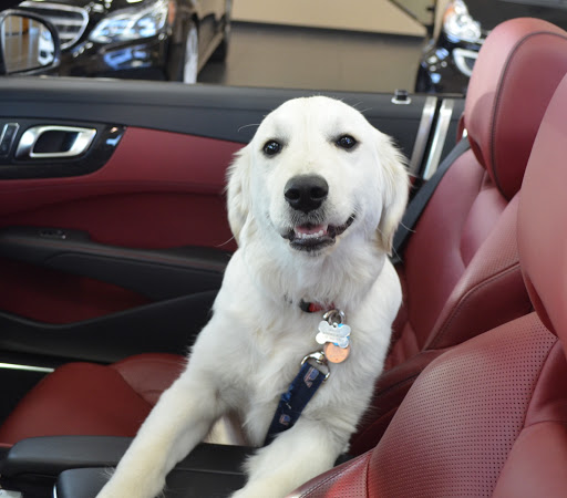 Car Dealer «Stahl Motor Cars», reviews and photos, 2330 Del Monte Ave, Monterey, CA 93940, USA