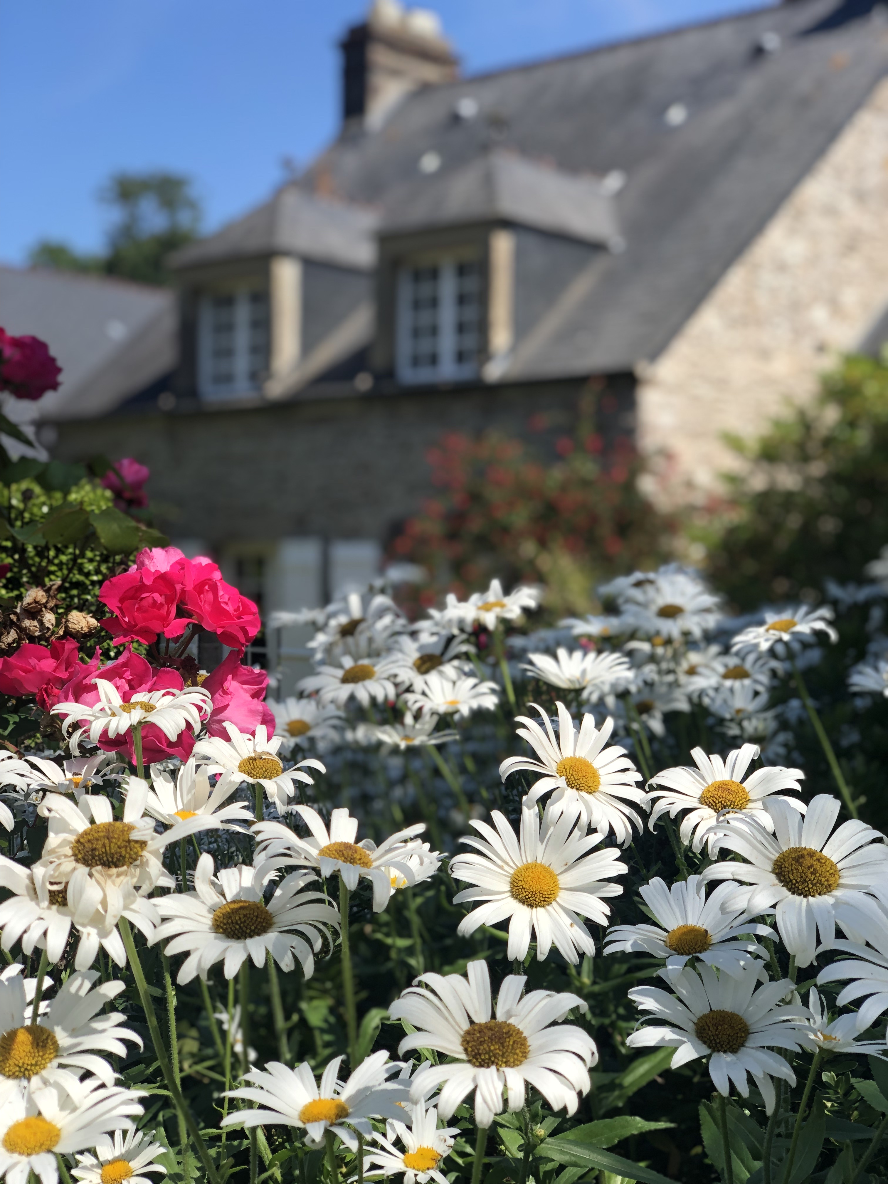 Photo n° 2 de l'avis de Jo.a fait le 01/10/2022 à 15:47