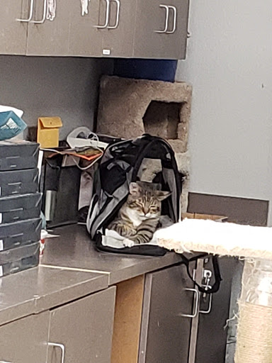 Pet Supply Store «Petco Animal Supplies», reviews and photos, 210 Nut Tree Pkwy, Vacaville, CA 95687, USA