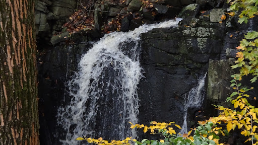 Nature Preserve «Greenbrook Nature Sanctuary», reviews and photos, Green Brook Rd, Tenafly, NJ 07670, USA