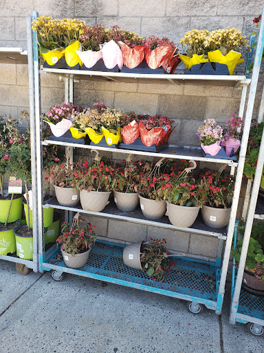 Warehouse club «BJ’s Wholesale Club», reviews and photos, 941 Rte 37 W, Toms River, NJ 08755, USA