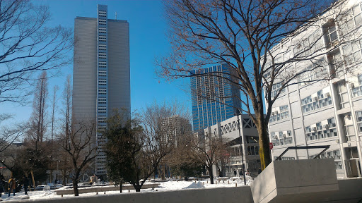 Faculty of Science and Engineering, Waseda University
