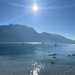 Photo n°22 de l'avis de Patrik.e fait le 29/01/2024 à 17:35 sur le  Blue Garden à Riva del Garda