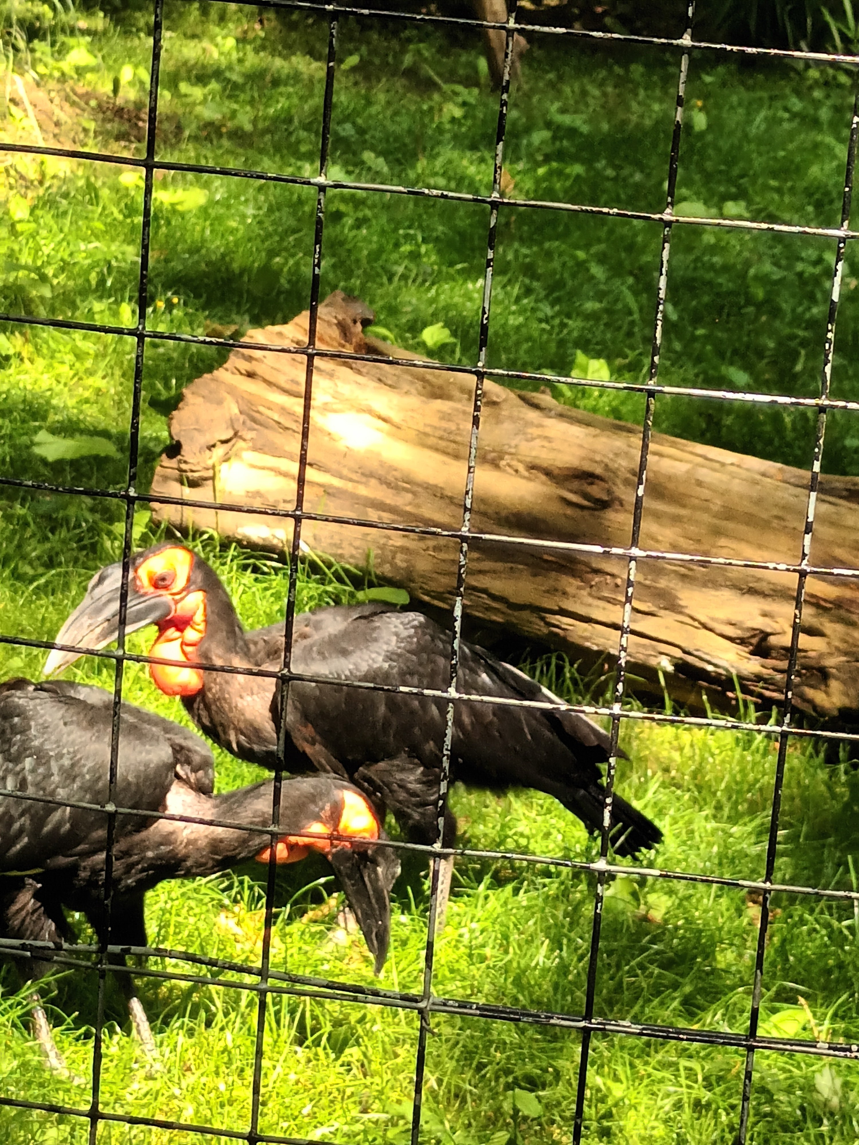 Photo n° 21 de l'avis de daniel.a fait le 28/06/2023 à 18:17