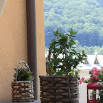 Photo n°5 de l'avis de Evaristo.h fait le 12/08/2021 à 20:42 sur le  Albergo Ristorante Locanda Garzino à Sampeyre