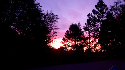 Park «Vermijo Park», reviews and photos, 2601 W Vermijo Ave, Colorado Springs, CO 80904, USA