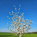 Photo n°19 de l'avis de Kessy. fait le 06/06/2023 à 12:03 sur le  Rittergut Positz à Oppurg