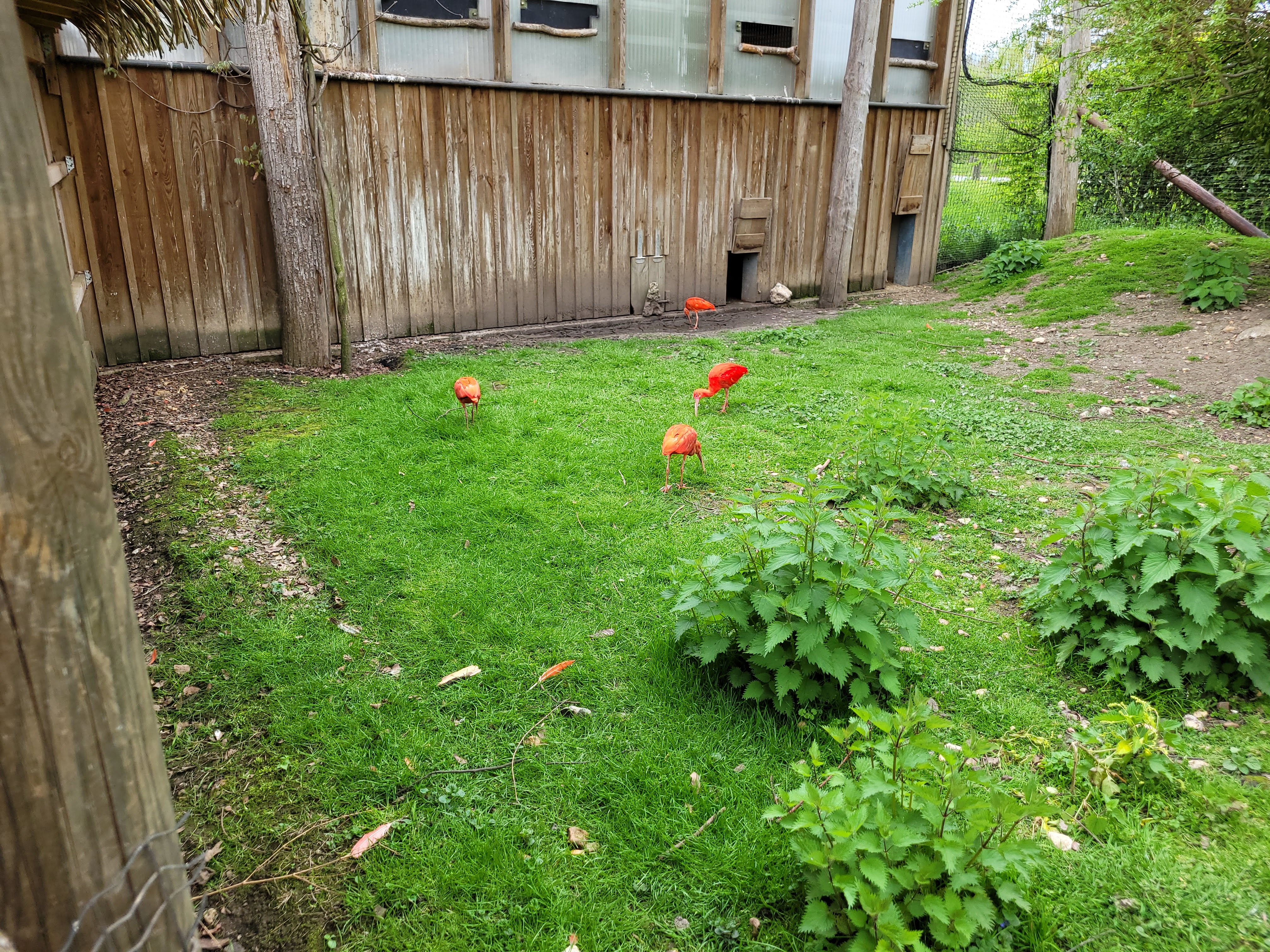 Photo n° 1 de l'avis de Lionel.h fait le 29/04/2023 à 15:23
