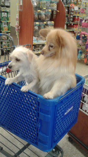 Pet Supply Store «PetSmart», reviews and photos, 7475 Greenbelt Rd, Greenbelt, MD 20770, USA