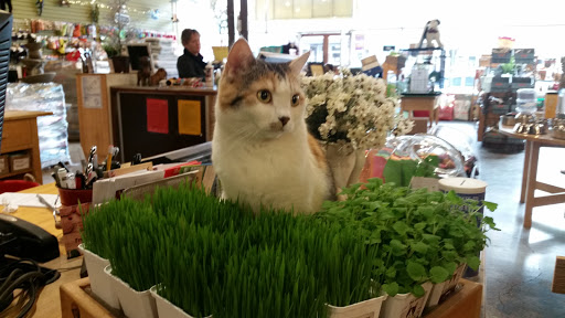 Pet Store «Next to Nature», reviews and photos, 4543 California Ave SW, Seattle, WA 98116, USA