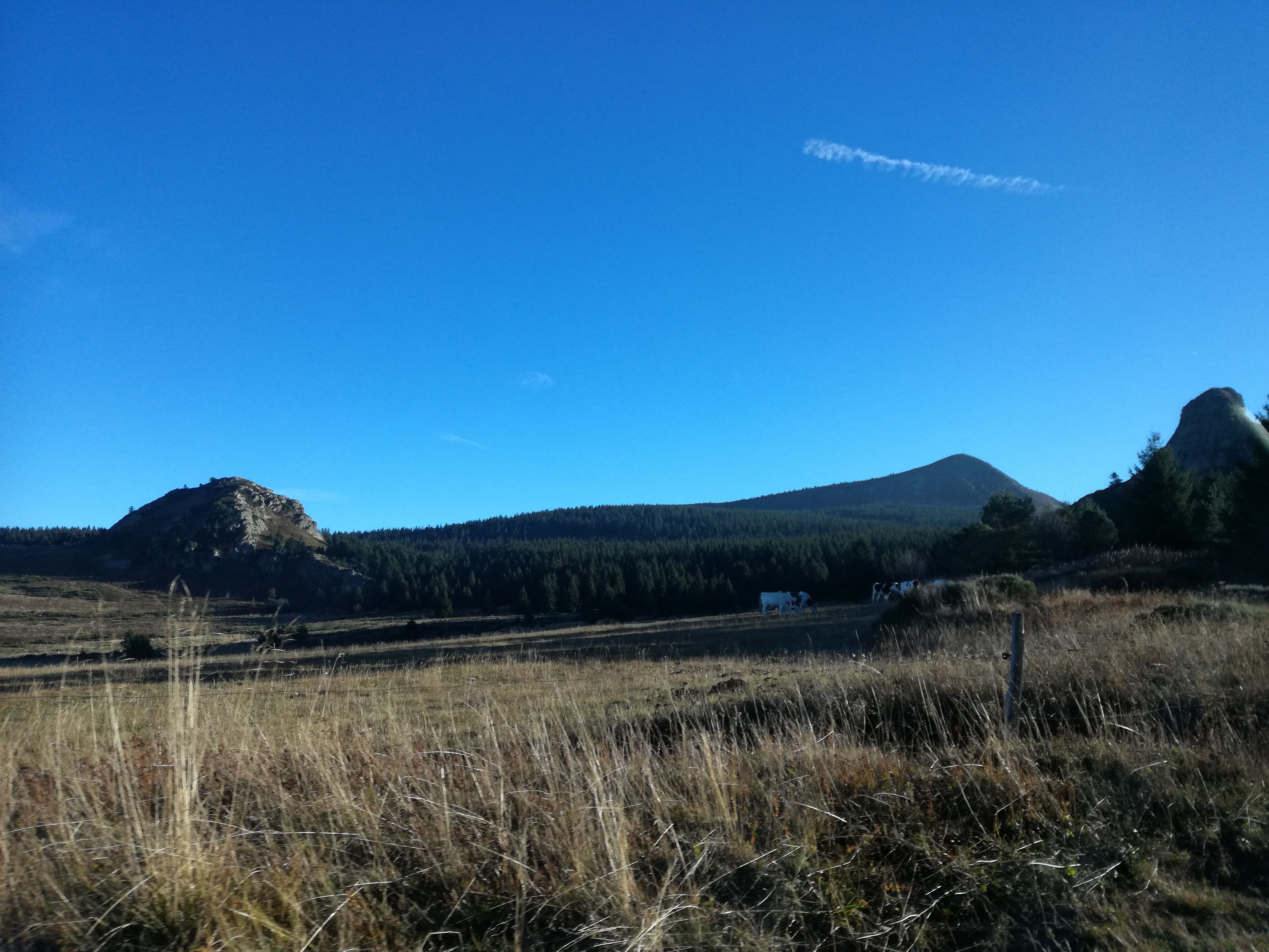 Photo n° 13 de l'avis de Nicole.. fait le 24/10/2018 à 14:31