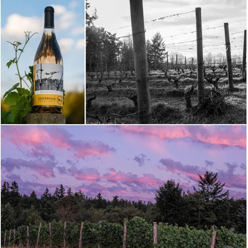 Winery «Bainbridge Vineyards», reviews and photos, 8989 NE Day Rd, Bainbridge Island, WA 98110, USA