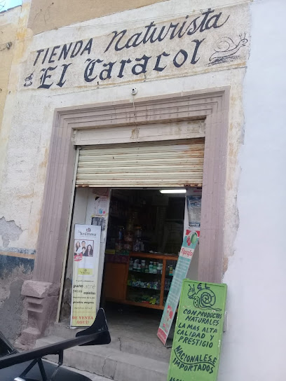 Tienda Naturista El Caracol, , Jerez De García Salinas