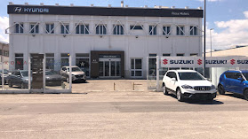 Hyundai Suzuki Nissan Gruppo PICCA Automobili Barletta