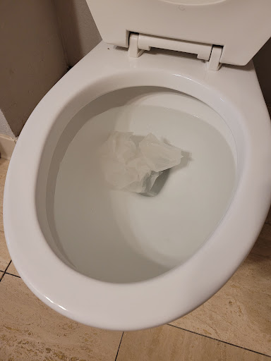 Hotel «Quality Inn & Suites Tampa - Brandon near Casino», reviews and photos, 10007 Princess Palm Ave, Tampa, FL 33619, USA