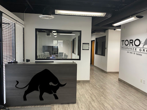 Toro Insurance Group