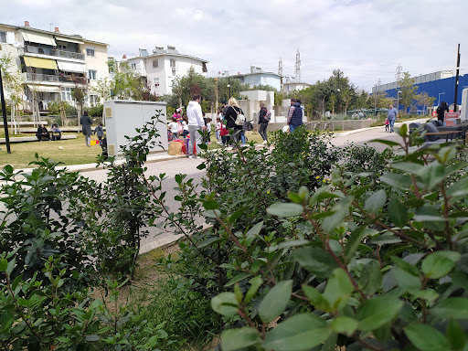 Tree pruning Athens