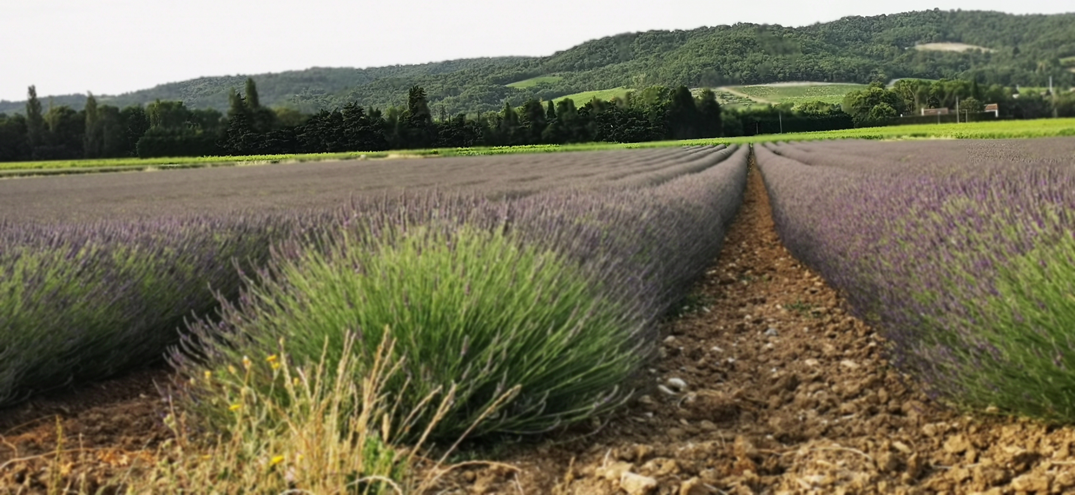 Photo n° 1 de l'avis de patrick.o fait le 04/06/2022 à 14:47